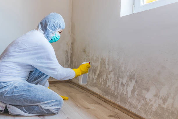 Licensed Mold Remediation service in Midland, PA - Mold Remediation HQ