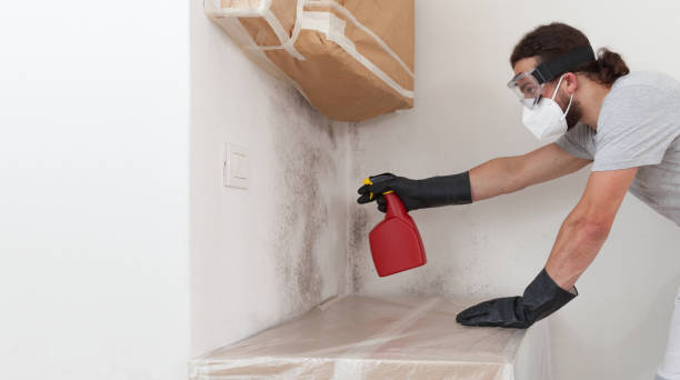 Professional Mold Remediation technician working in Midland, PA